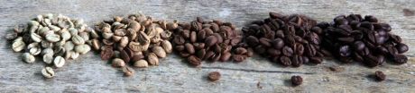 Coffee Roasting stages